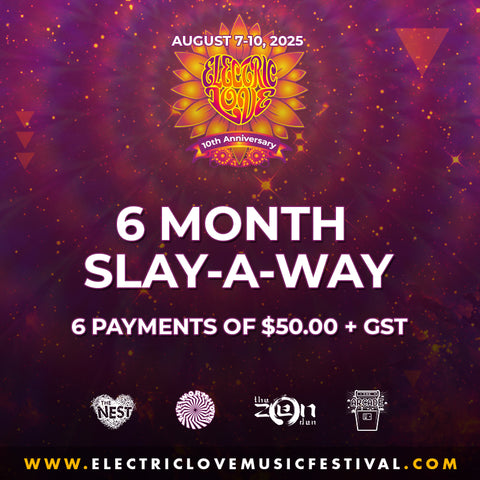 6 MONTH SLAY-A-WAY PAYMENT PLAN